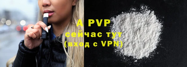спайс Лабытнанги