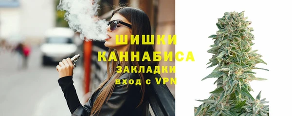 шишки Ладушкин