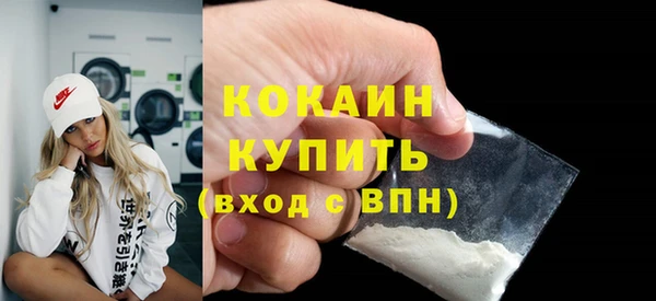 шишки Ладушкин