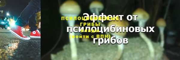 МДМА Лагань