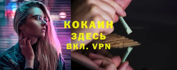 шишки Ладушкин