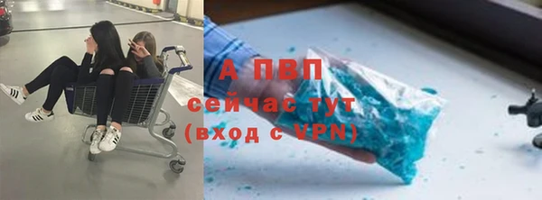 шишки Ладушкин