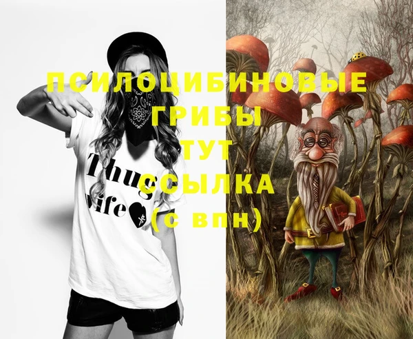 МДМА Лагань