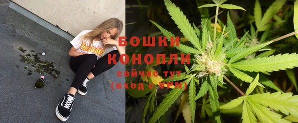 шишки Ладушкин