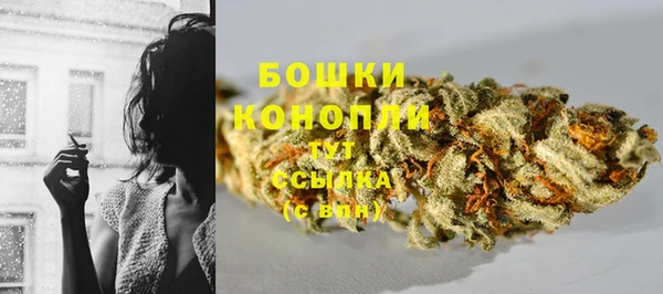 шишки Ладушкин