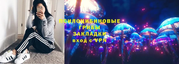 шишки Ладушкин