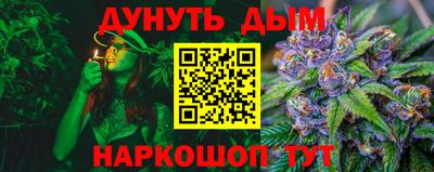дмт Гатчина