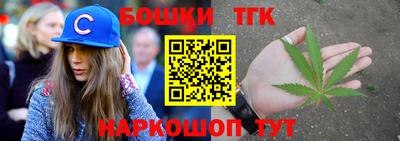 дмт Гатчина