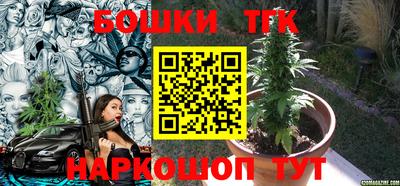 дмт Гатчина