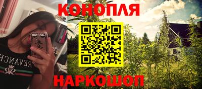 дмт Гатчина