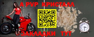 MDMA Гай