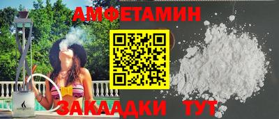 дмт Гатчина