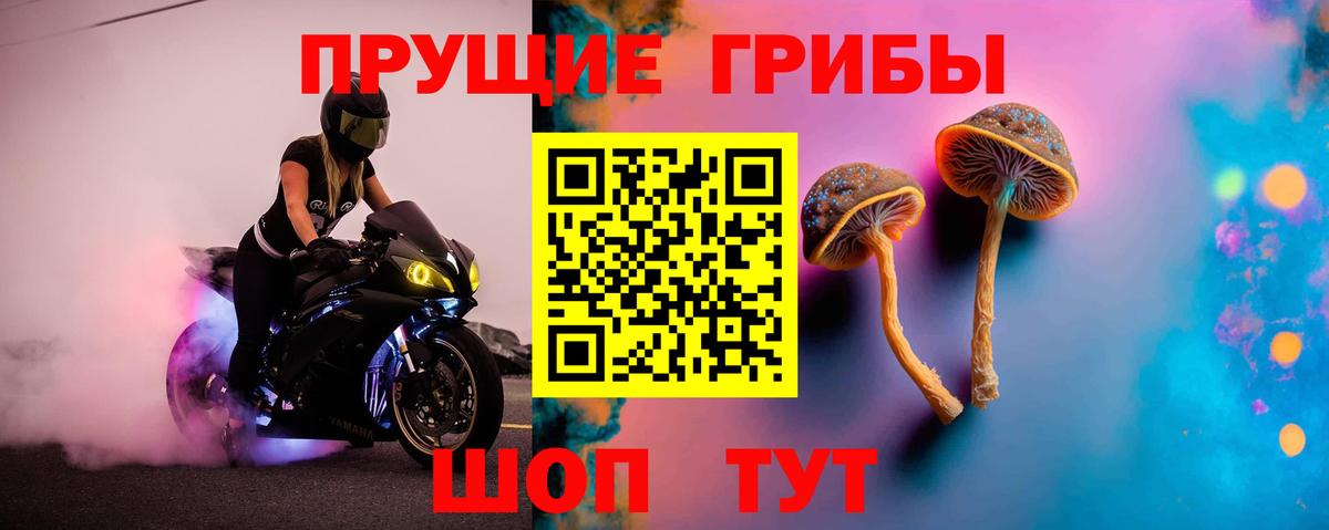 Галлюциногенные грибы Psilocybe Орск